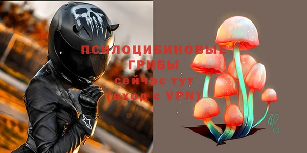mdma Медвежьегорск