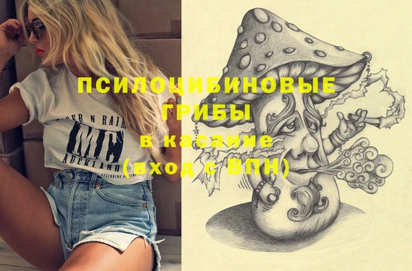 mdma Медвежьегорск