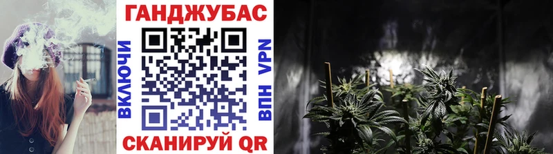 Купить  Северская  Каннабис план 